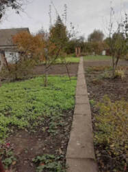 Продаж дачі в дачному масиві Олдиш фото 6 Продаж дачі в дачному масиві Олдиш фото 6