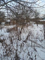 Продаж дачі. Баранівка фото 8 Продаж дачі. Баранівка фото 8