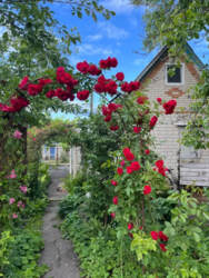 Продаж дачі мрії в кооперативі “Олдиш” фото 1 Продаж дачі мрії в кооперативі “Олдиш” фото 1