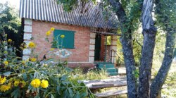 Продаж ДАЧІ р-н Баранівка (100 м від центральної дороги) фото 5 Продаж ДАЧІ р-н Баранівка (100 м від центральної дороги) фото 5