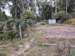 Продаж дачі в дачному масиві Олдиш фото 4 Продаж дачі в дачному масиві Олдиш фото 4