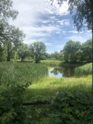 Продаж окремого будинку р-н Басів (біля ресторанного комплесу Фазенда) фото 7 Продаж окремого будинку р-н Басів (біля ресторанного комплесу Фазенда) фото 7