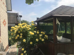 Продаж дачі в садівничому товаристві 'Бджола' (р-н Косівщини) фото 10 Продаж дачі в садівничому товаристві 'Бджола' (р-н Косівщини) фото 10