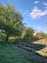 Продаж дачі на Олдиші кооператив 'Поліграф' фото 10 Продаж дачі на Олдиші кооператив 'Поліграф' фото 10