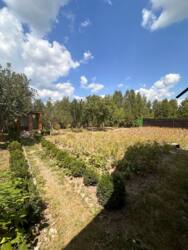 Продаж двох будинків на одній земельній ділянці в смт Липняк фото 2 Продаж двох будинків на одній земельній ділянці в смт Липняк фото 2