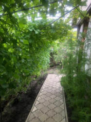 Продаж 2-поверхового будинку вул. вул. Володимира Затуливітра (Добролюбова) фото 10 Продаж 2-поверхового будинку вул. вул. Володимира Затуливітра (Добролюбова) фото 10