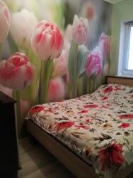 Продаж двоповерхового будинку 110м² + гостьовий будинок! р-н Лука фото 5 Продаж двоповерхового будинку 110м² + гостьовий будинок! р-н Лука фото 5