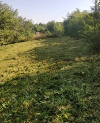 Продаж ДАЧІ р-н Аеропорт (Авіатор) фото 4 Продаж ДАЧІ р-н Аеропорт (Авіатор) фото 4