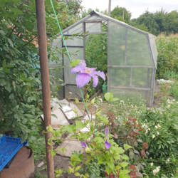 ��������� ������� ���� � ������������ ���� � ���������� �������� (�-� ���������) ���� 7