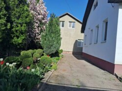 Продаж двох окремих будинків на одній земельній ділянці пров.Тихоріченський фото 1 Продаж двох окремих будинків на одній земельній ділянці пров.Тихоріченський фото 1