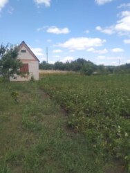 Продаж дачі смт Степанівка (5 хвилин по Білопільській трасі) фото 3 Продаж дачі смт Степанівка (5 хвилин по Білопільській трасі) фото 3