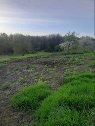 Продаж будинку + ЗЕМЕЛЬНА ДІЛЯНКА! с. Кононенкове ( 8 км від м. Суми) фото 3 Продаж будинку + ЗЕМЕЛЬНА ДІЛЯНКА! с. Кононенкове ( 8 км від м. Суми) фото 3