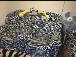 Продаж дачі в дачному кооперативі 'Барвінок' (р-н Аеропорту) фото 4 Продаж дачі в дачному кооперативі 'Барвінок' (р-н Аеропорту) фото 4