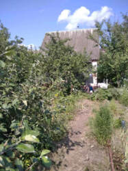 Продаж дачі в дачному масиві Олдиш фото 4 Продаж дачі в дачному масиві Олдиш фото 4