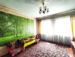 Продаж будинку по вул. вул. Мамаївщина (2-а Червоносільська) фото 4 Продаж будинку по вул. вул. Мамаївщина (2-а Червоносільська) фото 4