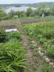 ������ ���� � ���������� ���������� ���� 1