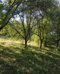 Продаж ДАЧІ р-н Аеропорт (Авіатор) фото 3 Продаж ДАЧІ р-н Аеропорт (Авіатор) фото 3