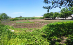 Продаж 2-поверхового будинку р-н Косівщина фото 9 Продаж 2-поверхового будинку р-н Косівщина фото 9