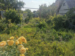 ������ �������� ������� ����. ����� ����� ���� 2