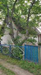 Продаж дачі в дачному масиві Олдиш фото 3 Продаж дачі в дачному масиві Олдиш фото 3