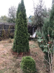 Продаж дачі в р-н Блакитних озер фото 10 Продаж дачі в р-н Блакитних озер фото 10