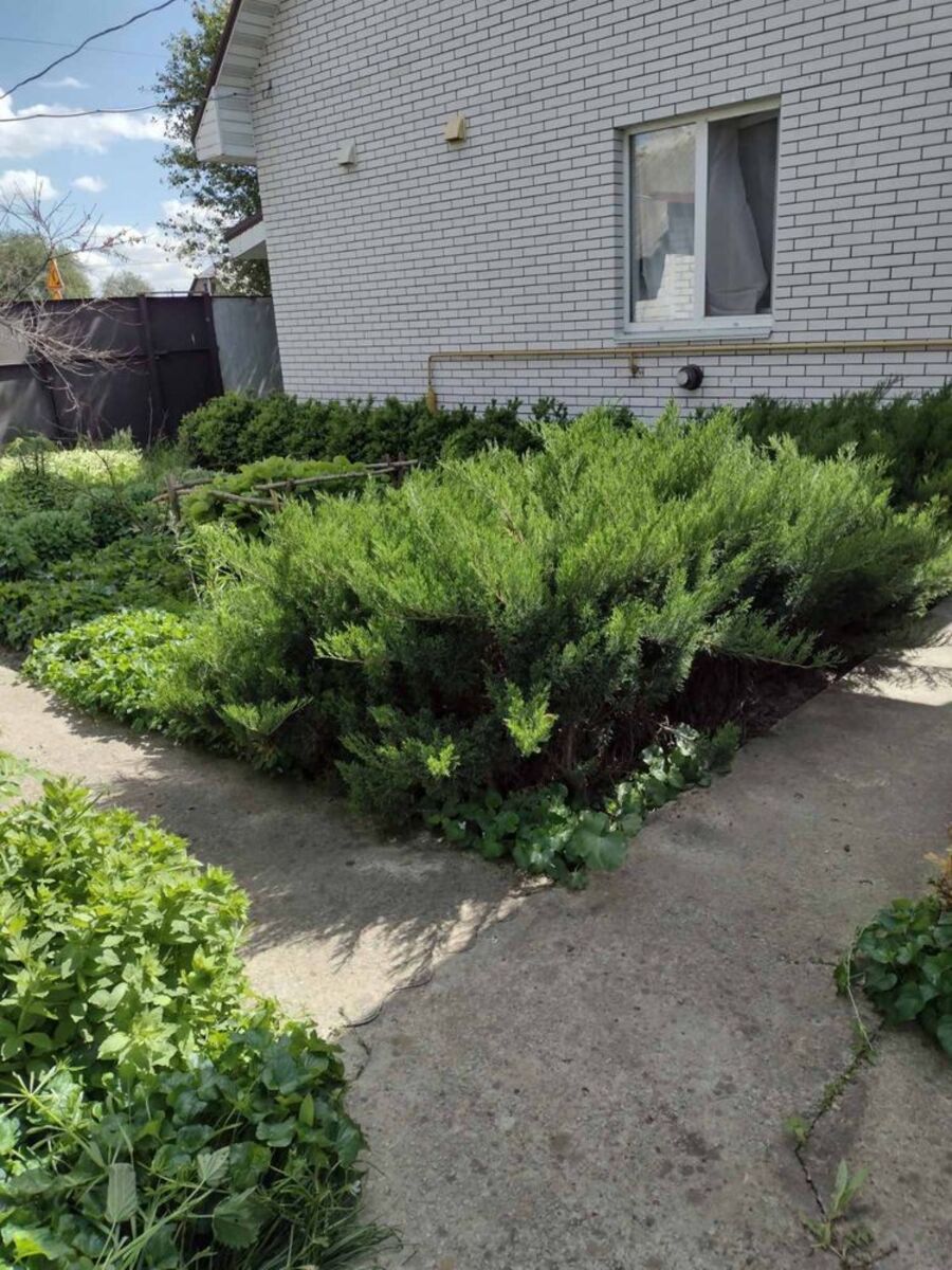 Продається будинок Київська, Броварський, Семиполки фото 1 Продається будинок Київська, Броварський, Семиполки фото 1