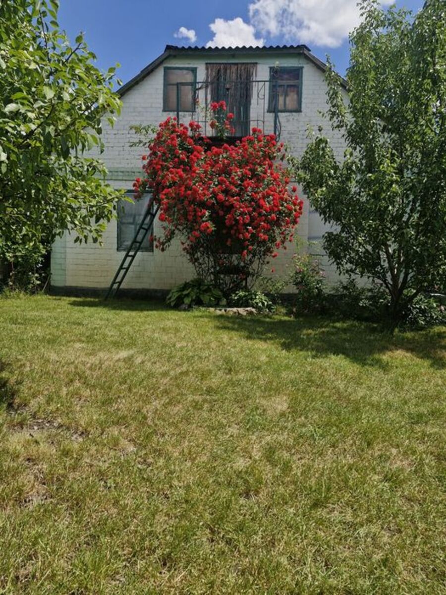 ������� 80 ��. 15 ���. ����� ���� 1