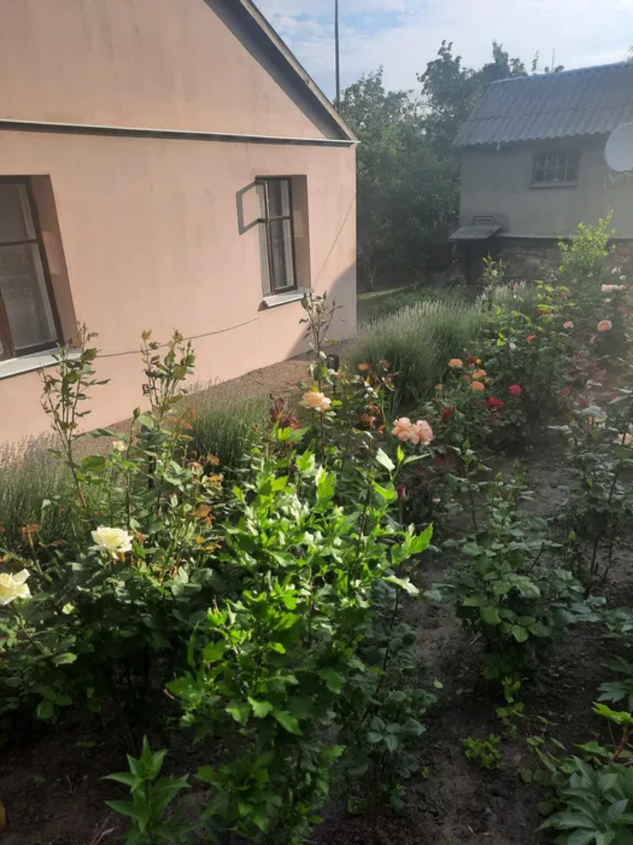 ������ ������� ���� 1