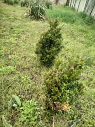 ������ ��� � ����� ��������� ���� 8