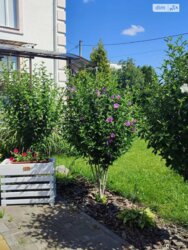 ��������� ������� ������������, ���������, �������������, ����������, ������ ���� 21