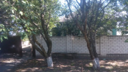 ��������� ������� � ����������. ���� 1