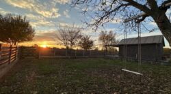 ĳ����� � �������� � �.����������. ���� 14