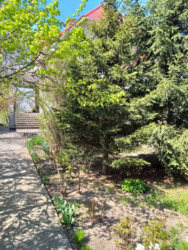 ������ ������������� ������� ���� 5