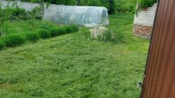 ������ ��� , �������. ���� 10