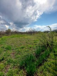 ������� � ϳ������ ���� 7