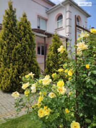 ��������� ������� ������������, ���������, �������������, ����������, ������ ���� 7