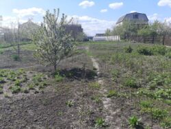 ������ ��� , �������. ���� 5