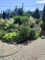 ��������� ������� ������������, ���������, �������������, ����������, ������ ���� 19