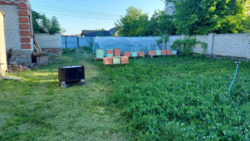 ������ ��� , �������. ���� 15