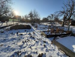 ��������� ������� ���������, �������������, ����������, ����� ���� 8