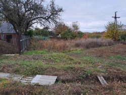 1/2 ������� � ���������� ���� 5