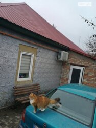 1/2 ������� � ������� ������ ���� 18