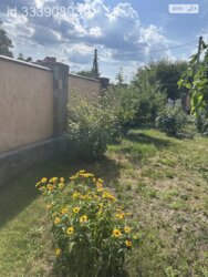 ��������� ������� ���������, �������������, ����������, ������ ���� 11