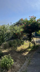 -������ ������� � ������ ���������. ���� 13