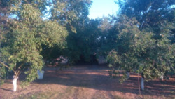 ��������� ������� � ����������. ���� 9