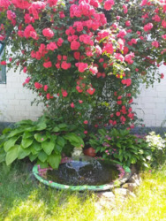 ������� 80 ��. 15 ���. ����� ���� 2