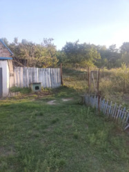 ��������� ������� ��������, ��������, ʳ������������ ���� 5