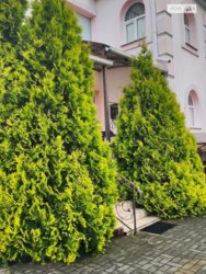 ��������� ������� ������������, ���������, �������������, ����������, ������ ���� 5