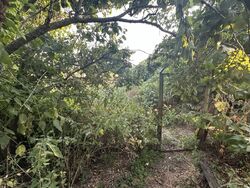 Продається будинок Кам'яні Потоки, Кременчуцький, Полтавська фото 14 Продається будинок Кам'яні Потоки, Кременчуцький, Полтавська фото 14