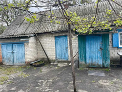 Продається будинок Центральна, 148, Белецківка, Кременчуцький, Полтавська фото 7 Продається будинок Центральна, 148, Белецківка, Кременчуцький, Полтавська фото 7